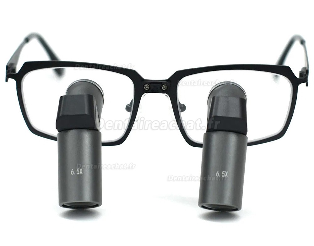 Loupes binoculaires chirurgicales dentaire Micare JENM-650X ERGO 6.5X TTL