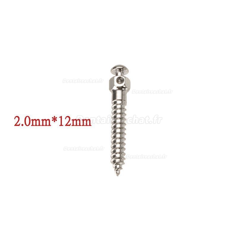 Auto-foreur Filetage Orthodontie dentaire Micro Implants Vis titane Mini vis