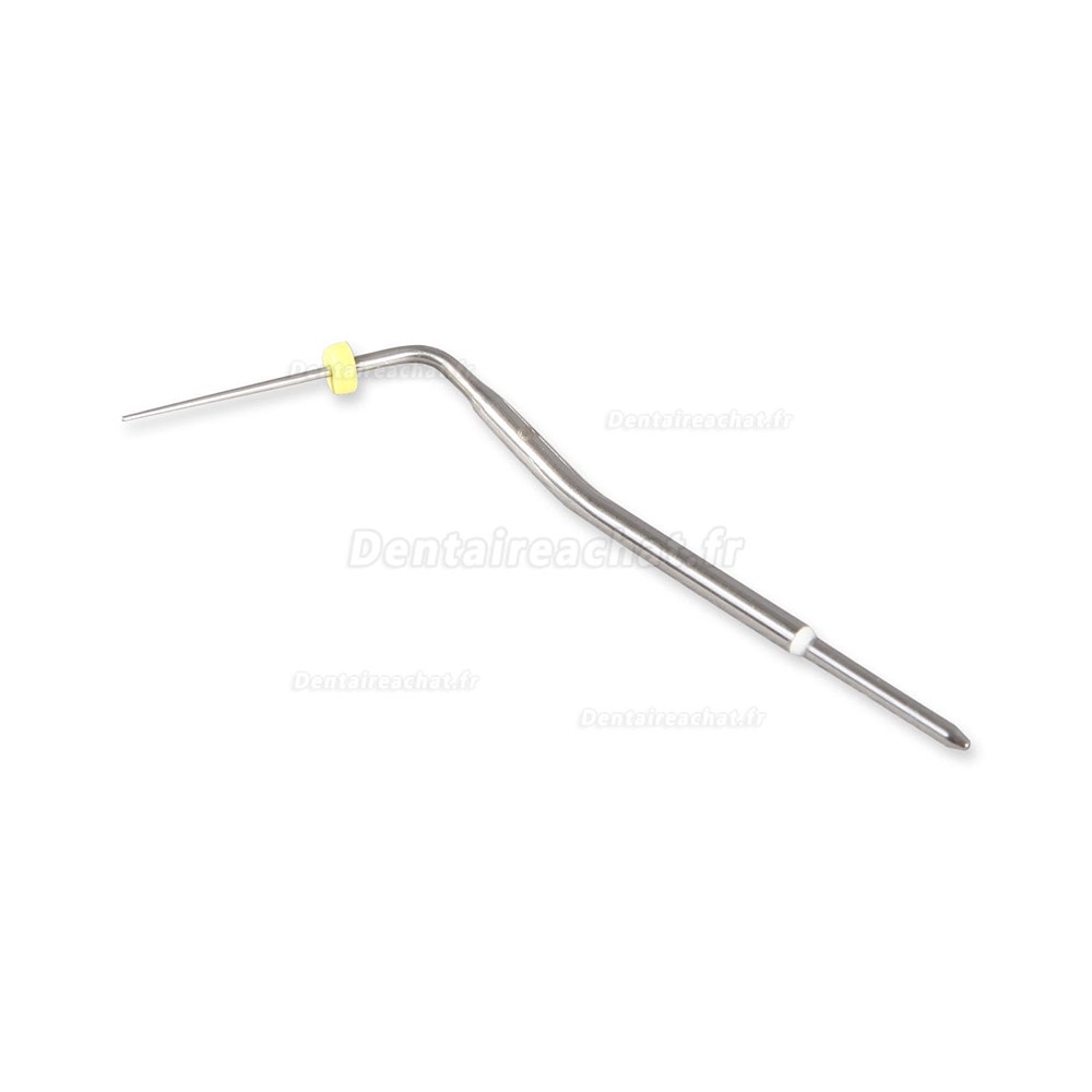 Stylo Gutta Percha Dentaire Conseils chauffés Aiguilles Plugger pour obturation endodontique