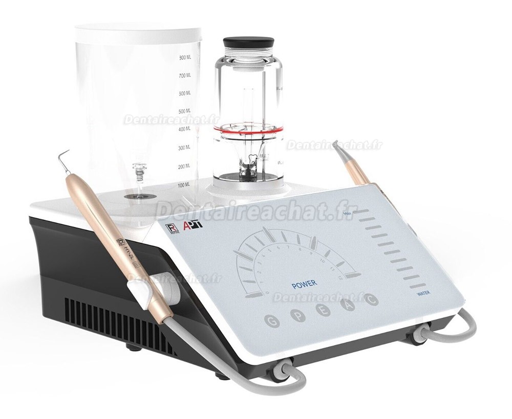 Refine APT 2 en 1 Détartreur ultrasonique dentaire et aéropolisseur dentaire compatible avec EMS Prophylaxis Master