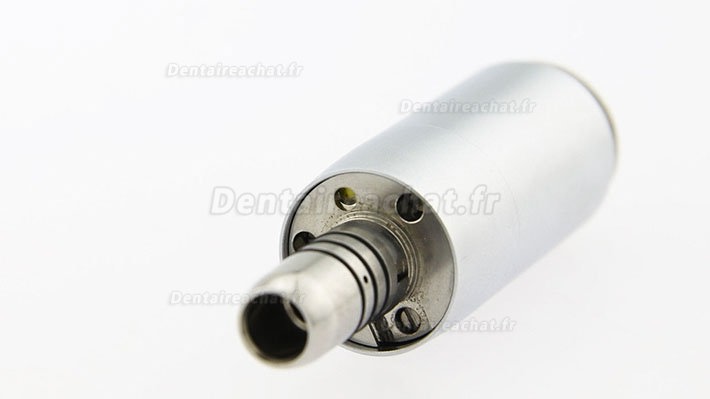 Being® Rose 4000 micromoteur électrique dentaire intégré + Being 202CAP-B fibre optique contre-angle bague bule