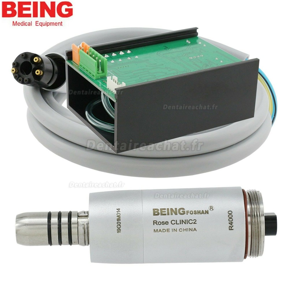 Being® Rose 4000 micromoteur électrique dentaire intégré + Being 202CAP-B fibre optique contre-angle bague bule