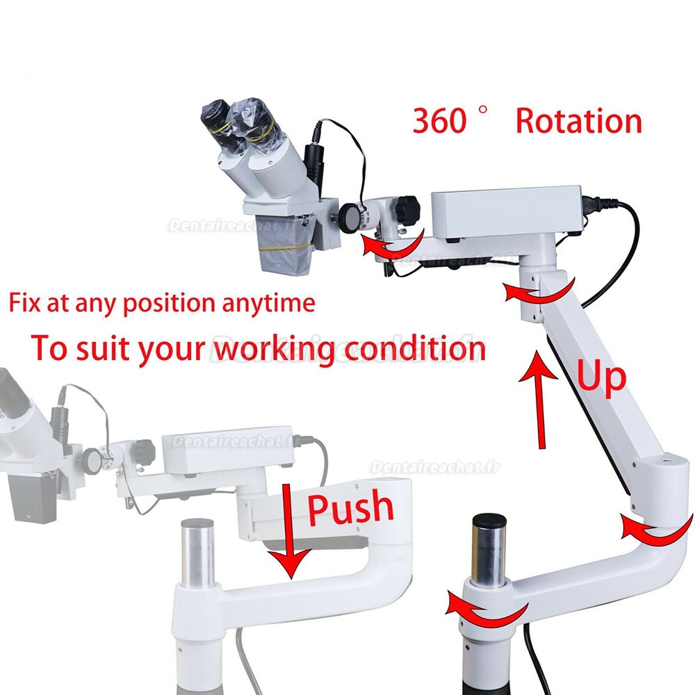 Microscope chirurgical dentaire 10X/15X/20X avec lumière LED (pour fauteuil dentaire)