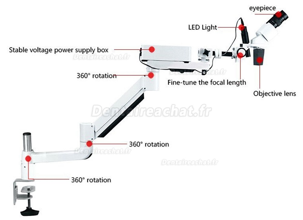Microscope opératoire chirurgical dentaire 10X/15X/20X (pour bureau de table)
