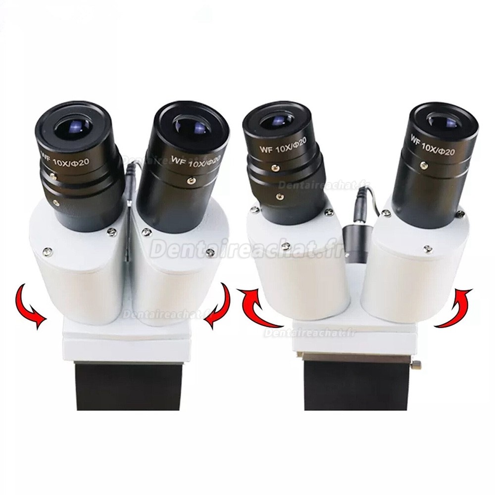 Microscope opératoire chirurgical dentaire 10X/15X/20X (pour bureau de table)