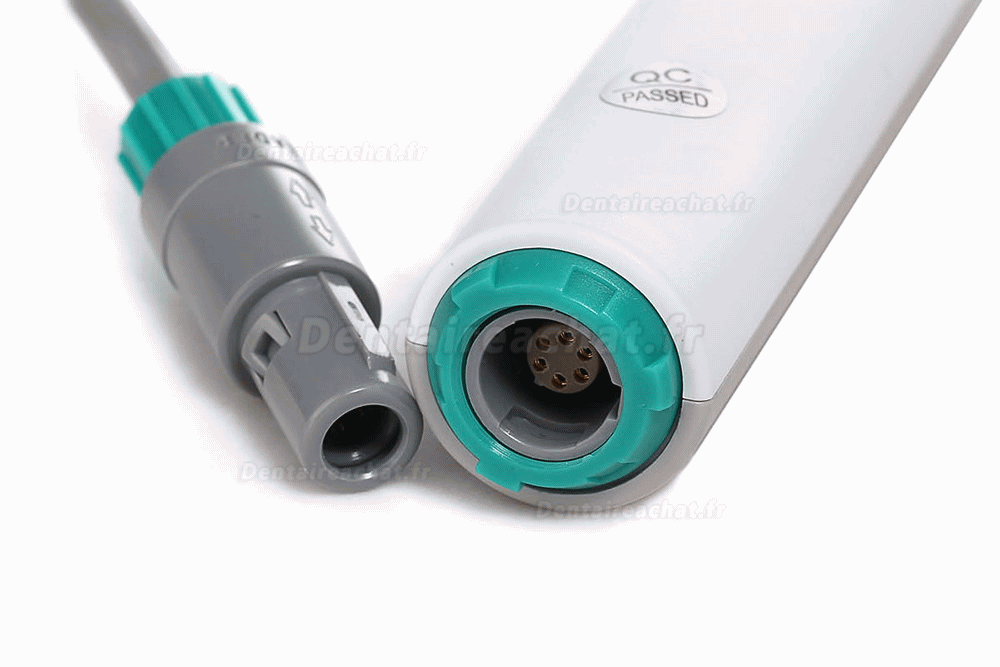 1/4 SONY CCD 4 Mégapixel Caméra intra-orale USB connexion l'ordinateur