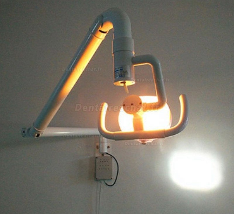 50W lampe scialytique opératoire halogène dentaire (Modèle Murale) avec bras lampe