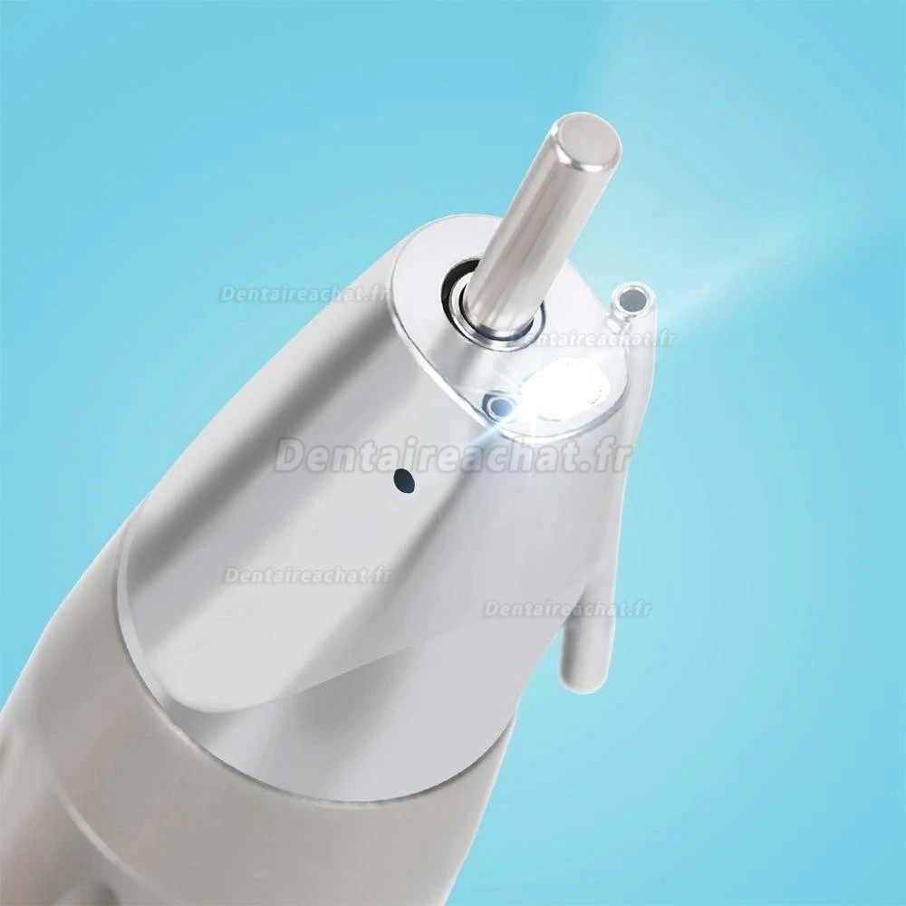 Pièces à main droite à fibre optique dentaire Westcode (type E, eau externe)