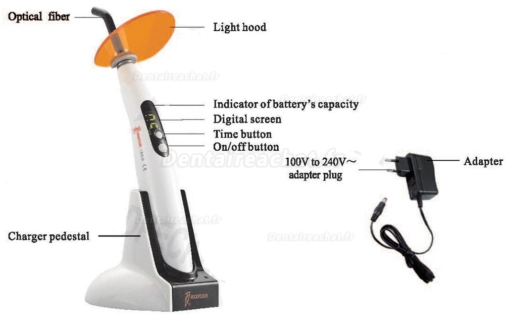 Woodpecker® Type.B Lampe à photopolymériser led dentaire 1000mw