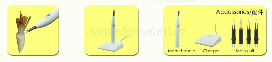 Westcode® 20803 gutta cutter dentaire sans fil